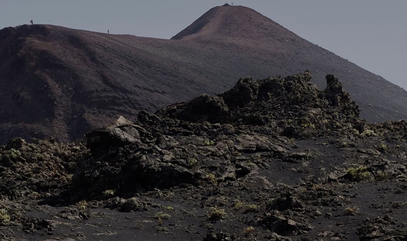 Allianz impulsa el “Plan La Palma” para ayudar a los afectados por la erupción del volcán